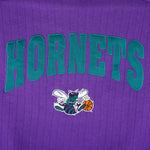 Champion - Charlotte Hornets Embroidered Crew Neck Sweatshirt 1990s Large Vintage Retro Basketball