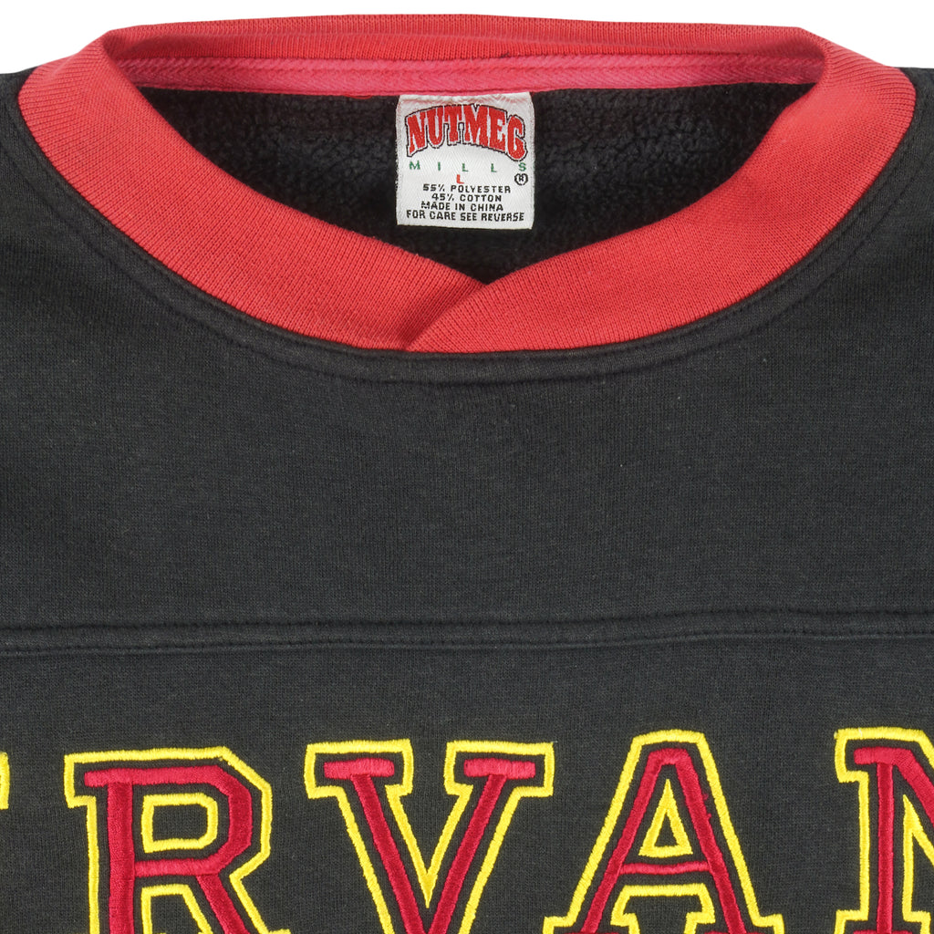 NASCAR (Nutmeg) - Ernie Irvan No. 28 Embroidered Crew Neck Sweatshirt 1990s Large Vintage Retro