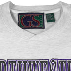 NCAA (Galt Sand) - Northwestern Wildcats Rose Bowl Crew Neck Sweatshirt 1996 X-Large Vintage Retro Football College