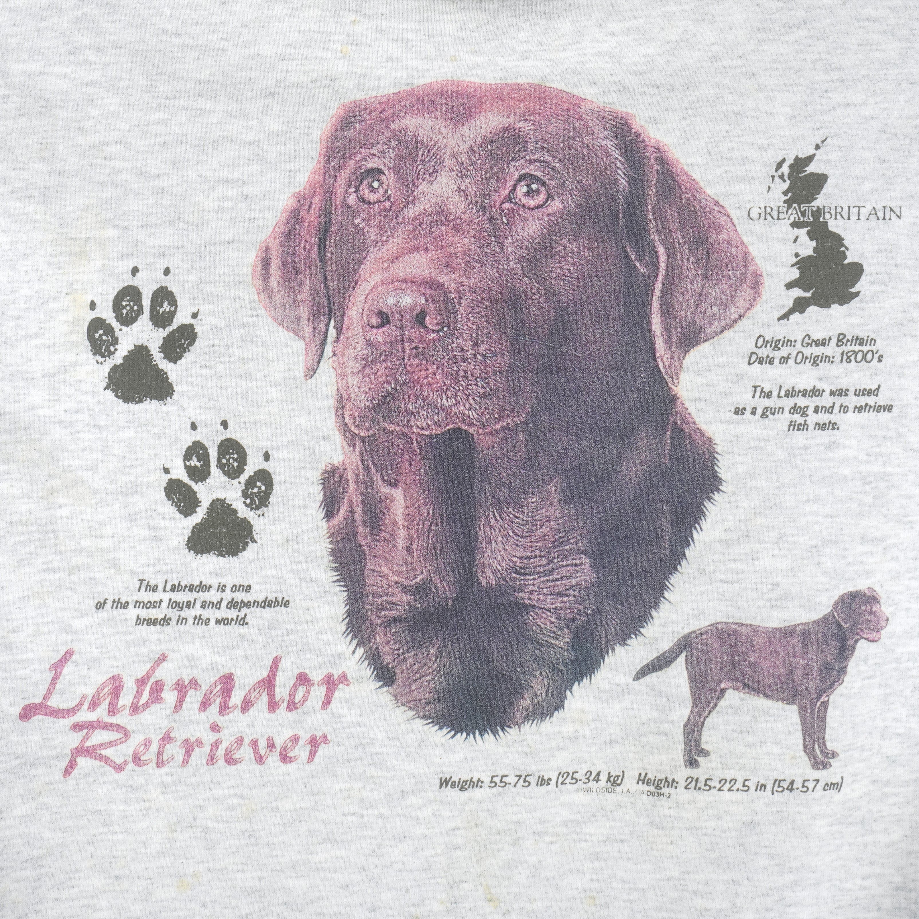Vintage Labrador Retriever T-Shirt Vintage Labrador Retriever T-Shirt