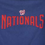 MLB (Lee) - Washington Nationals Crew Neck Sweatshirt 1990s Large Vintage Retro Baseball