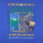 Vintage (Wilson Sport) - Alberta Canadian Rockies Banff Canada T-Shirt 1990s Large Vintage Retro