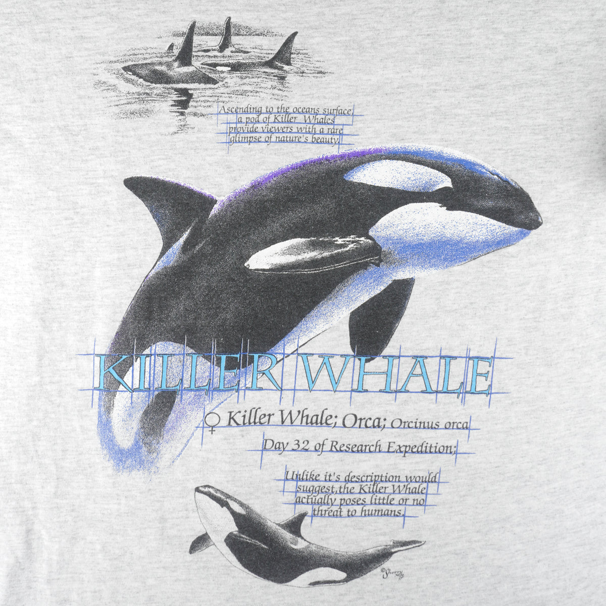 Vintage (Sherry) - Seaworld Killer Whale Orca Animal T-Shirt 1990s Large Vintage Retro