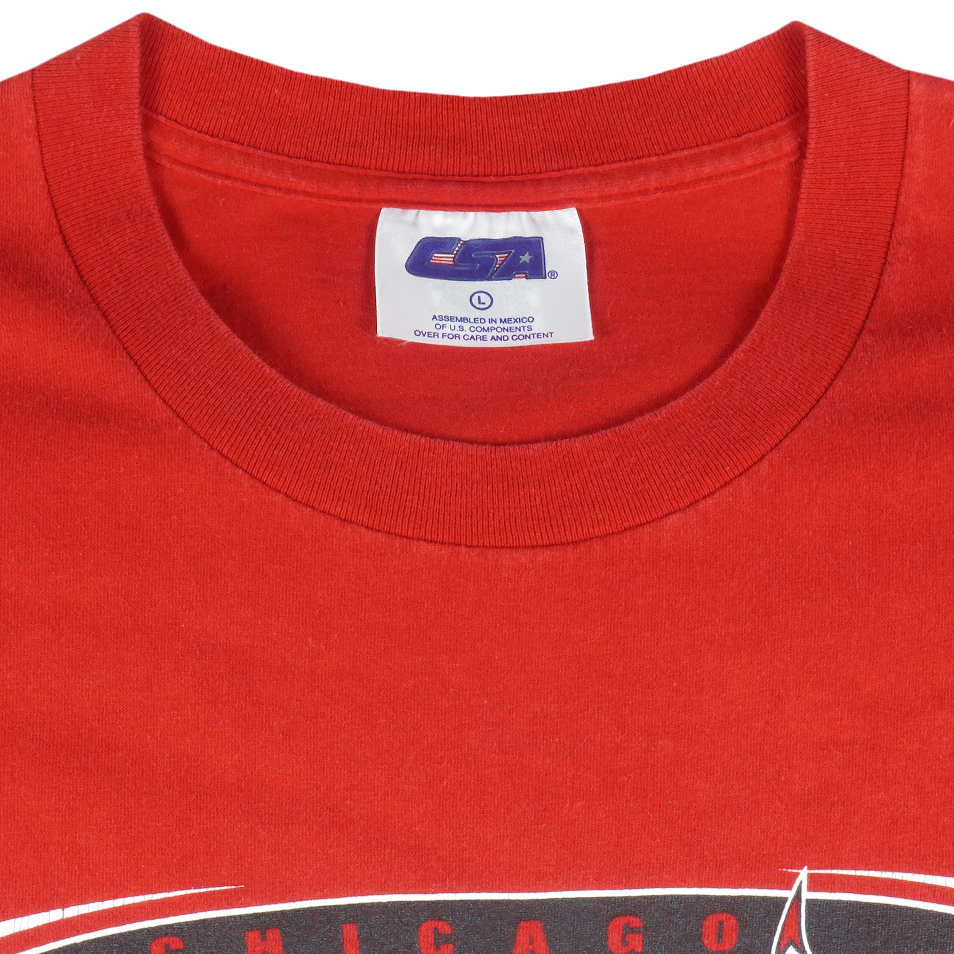 NBA (CSA) - Chicago Bulls Basketball T-Shirt 1990s Large Vintage Retro Basketball