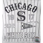 MLB (Long Gone) - Chicago White Sox 1917 World Series T-Shirt 1991 X-Large Vintage Retro Baseball