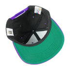 NBA (Competitor) - Toronto Raptors Adjustable Hat 1994 Youth Vintage Retro Basketball