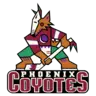 Phoenix Coyotes