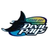 Tampa Bay Rays