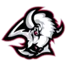 Buffalo Sabres
