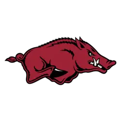 Arkansas Razorbacks